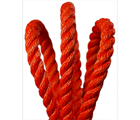 Husky 3-Strand